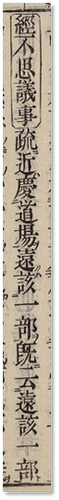 圖片6
