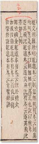 圖片2