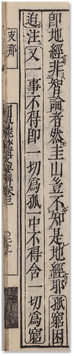 圖片4