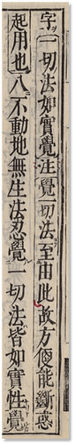 圖片3